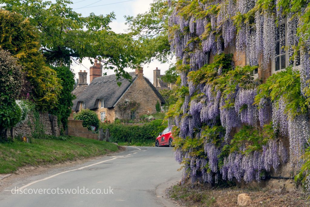 Wisteria on the wall of the Ebrington Arms pub