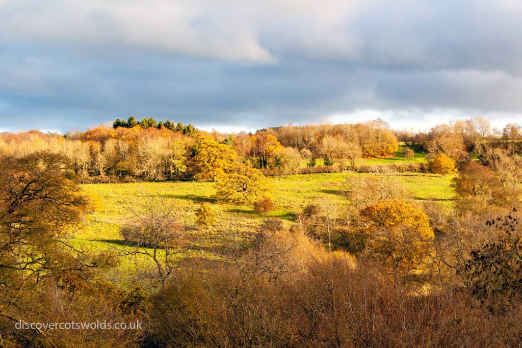 Cotswolds views