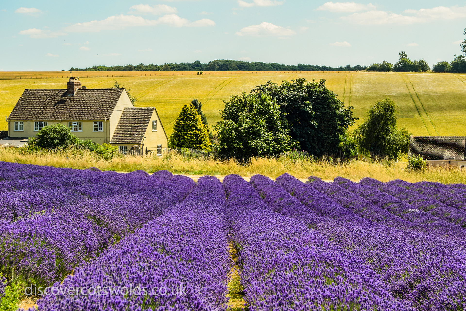 Best Places To Visit In The Cotswolds Discover Cotswolds Best Places To Visit In The Cotswolds Discover Cotswolds
