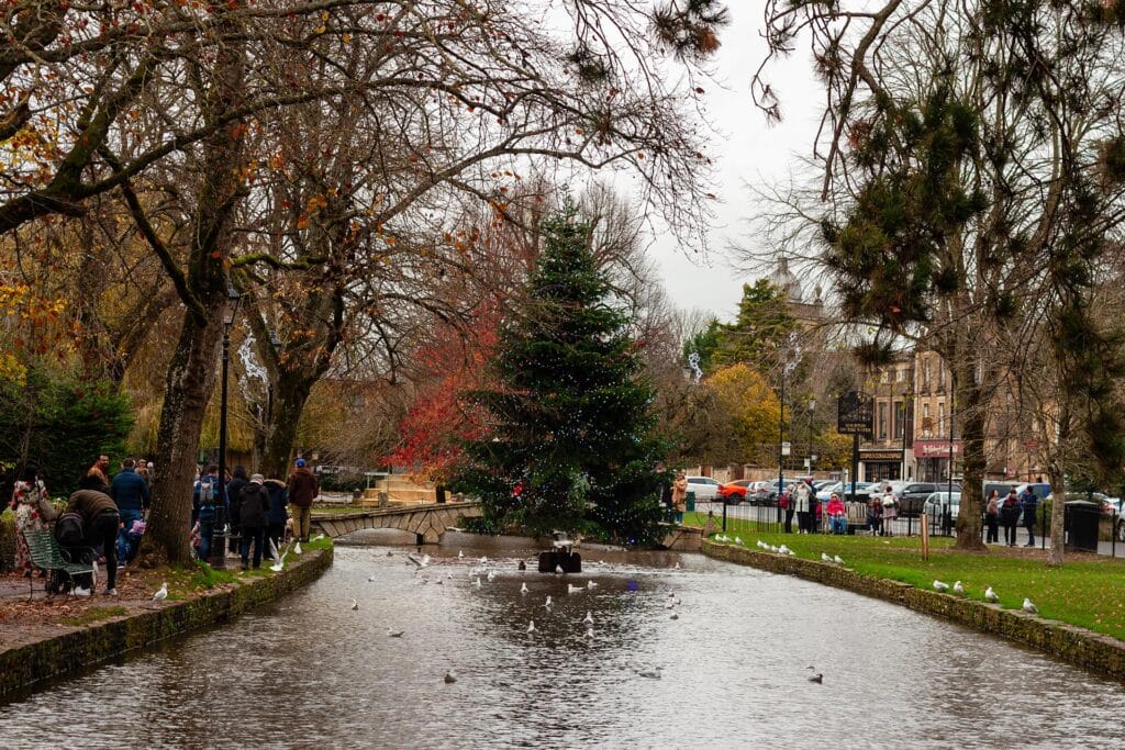 Bourton-on-the-Water Christmas tree, in the river